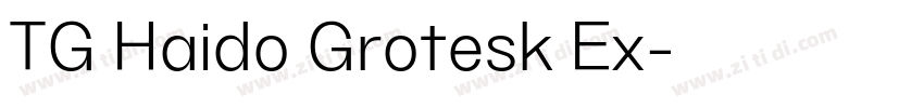 TG Haido Grotesk Ex字体转换
